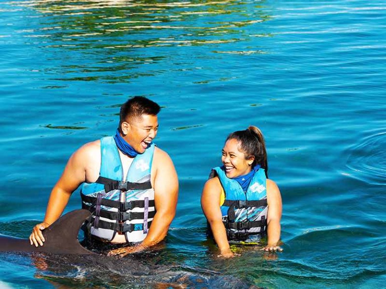 sea life park get up close and personal with dolphins