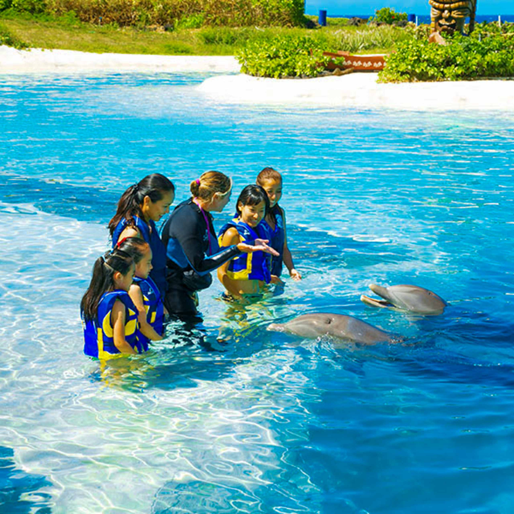 Sealifeparkhawaii Dolphin Encounter Guest Having Fun