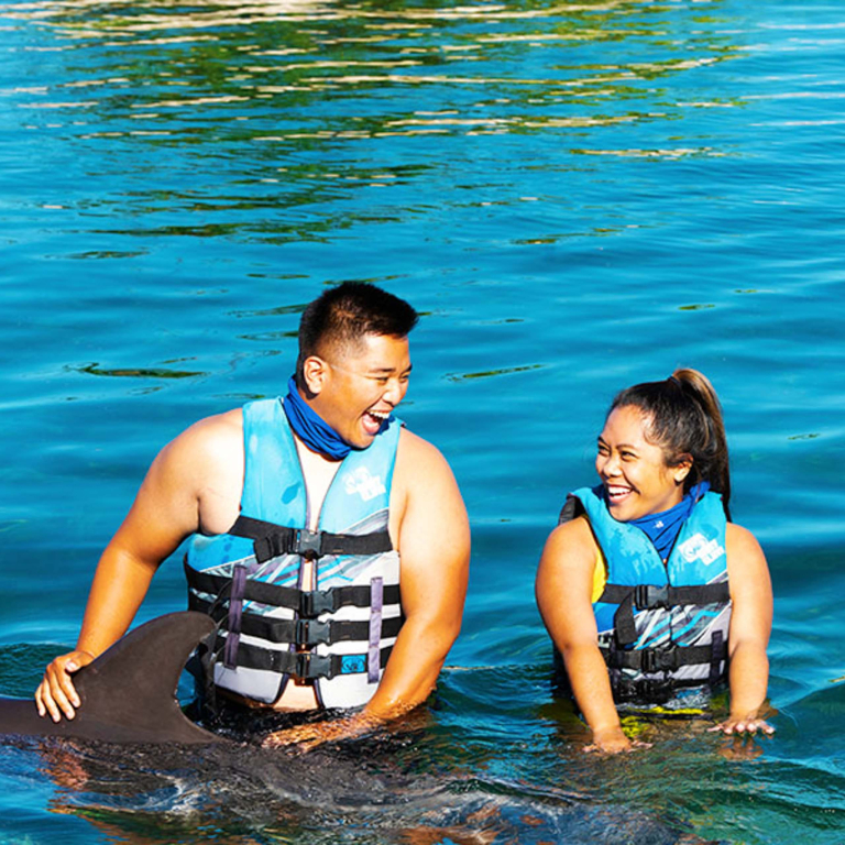 Sealifeparkhawaii Dolphin Encounter Sea Life Park Main