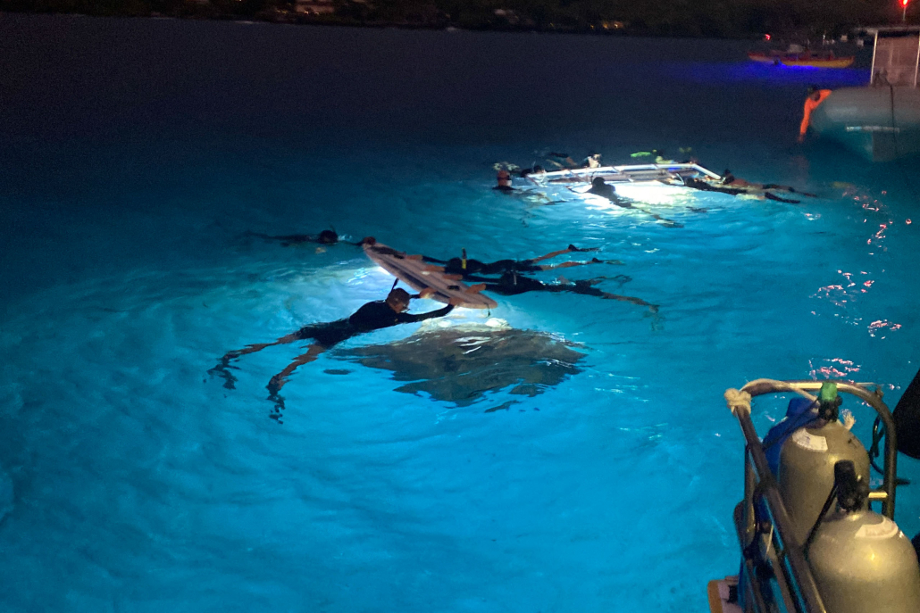 Torpedotours Night Manta Ray Night Snorkel Must Do At Night 