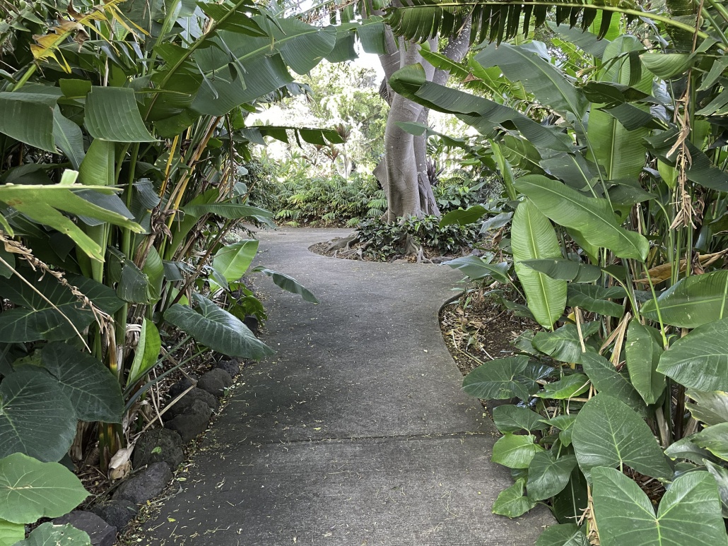 tropical plantation walkway