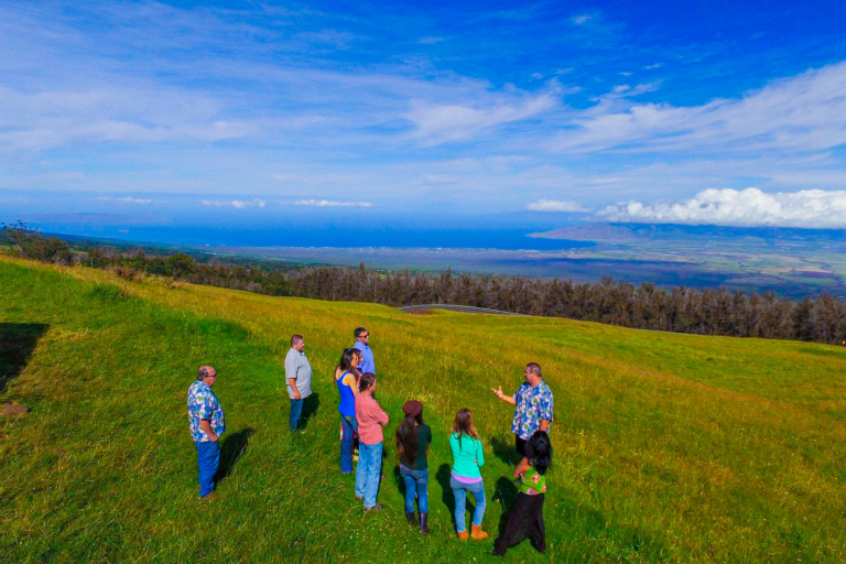 Valley Isle Excursions Sunrise Guide Stories Feature