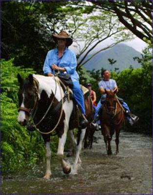 Wai’pio Valley Horseback Adventure