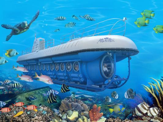 Atlantis Submarine Ocean Discovery Dive Tour 