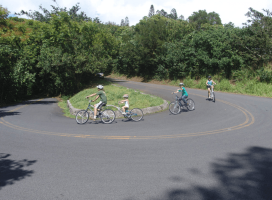 Bike Hawaii Downhill Bike Family