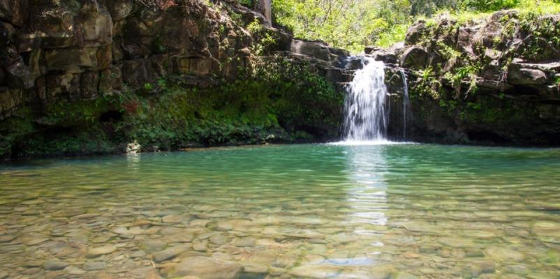 Maui Waterfall & Rainforest Hike