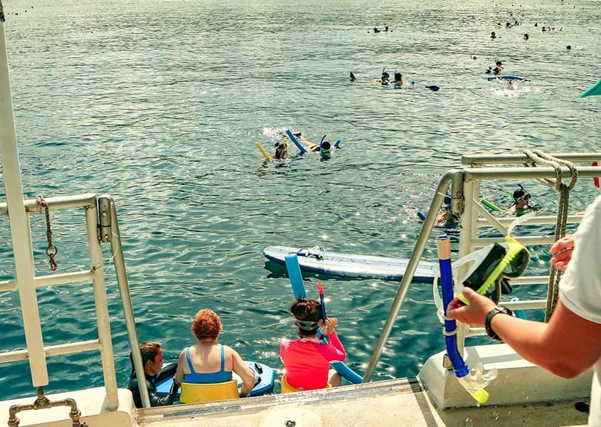 Boat Visitors Snorkeling in Water Back Deck