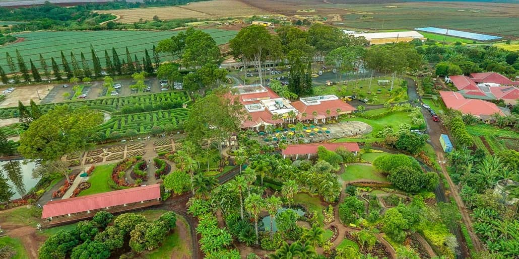 Dole Pineapple Plantation Aerial