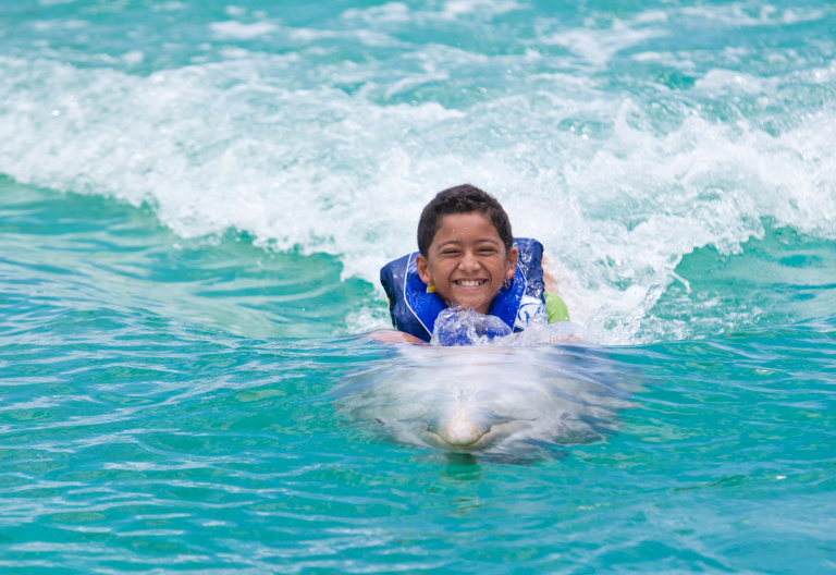 Dolphin sea life park kid swimming with dolphin slider  