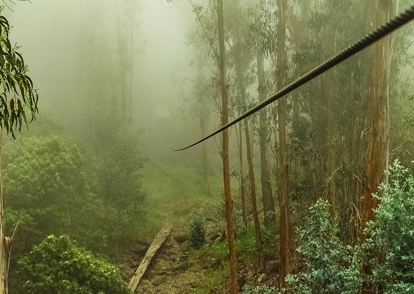 Haleakala Zipline Course Fog