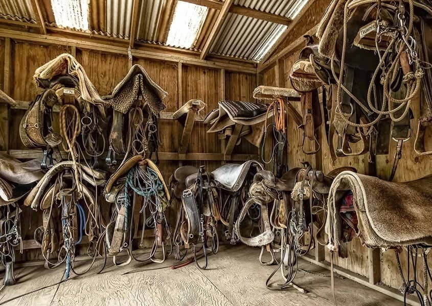 Horses Tack Room Hawaii