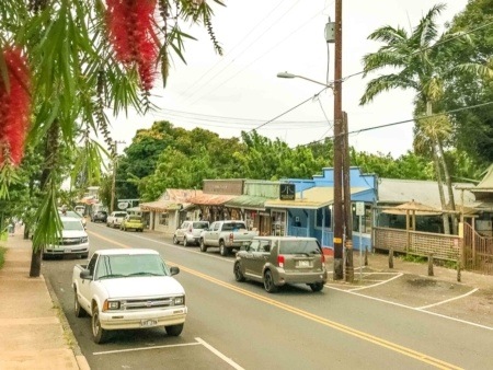 Makawao Town View and Ohia Tree Maui