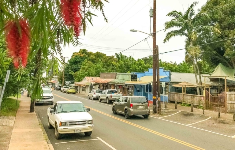 Makawao Town View and Ohia Tree Maui
