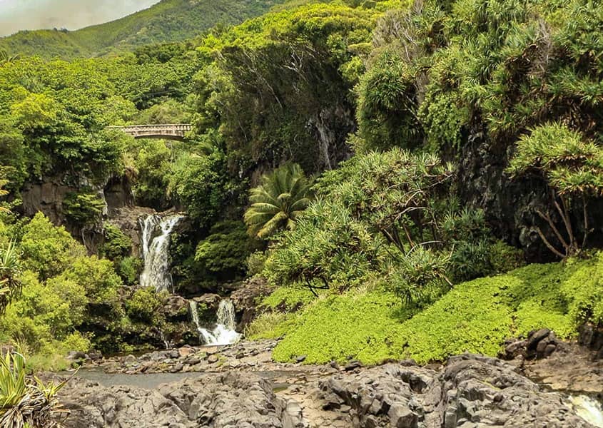 Seven Sacred Pools of Oheo Waterfalls Hana