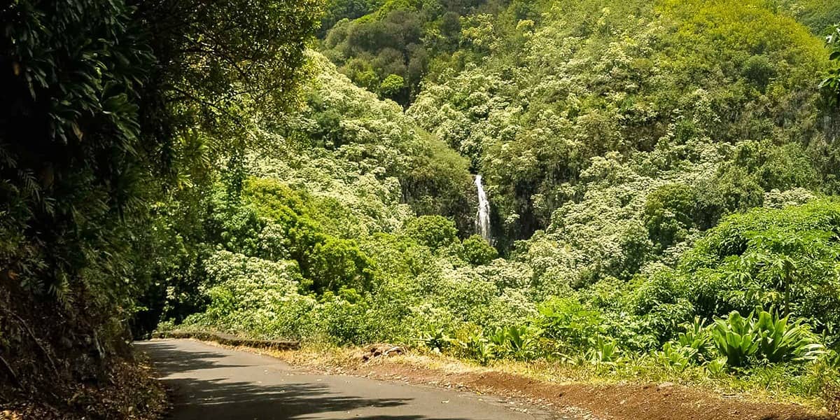 Road to Hana Tours Guided Hana Tours & Experiences