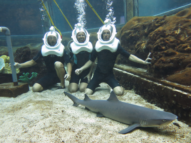 Sea life park Shark Trek three kneeling slider 