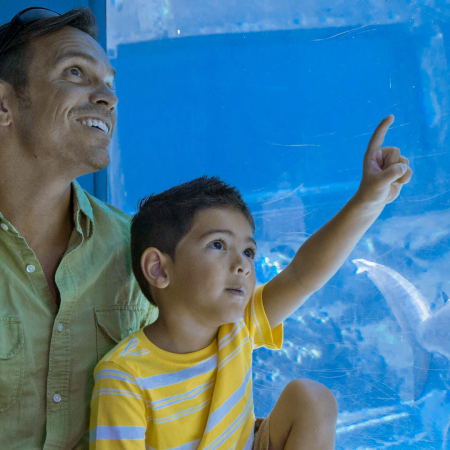 Sea Life Park Father Son Visit Shark Tank Product
