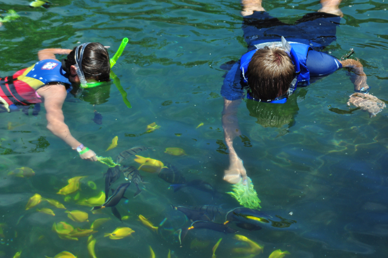 Sea life park kids playing with fish slider 