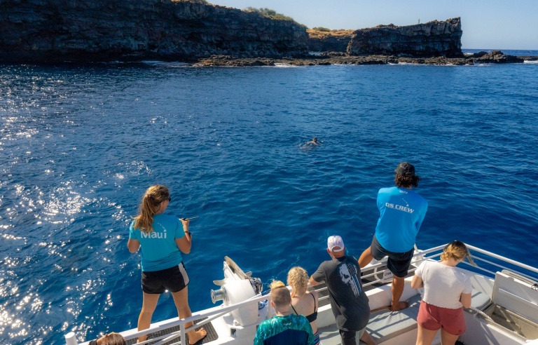 a fabulous excursion awaits you aboard the luxurious quicksilver catamaran