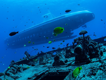 Atlantisadventure Waikiki Submarine Dive Premium Submarine Adventure Deep Water