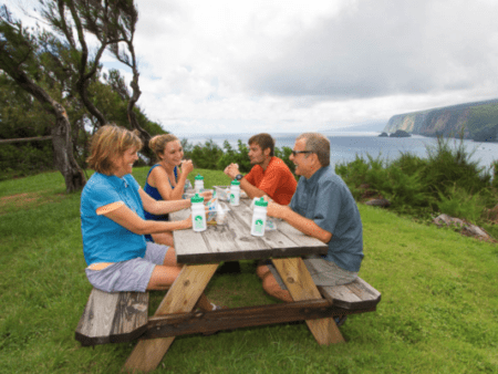 Kohala Picnic Spot & View