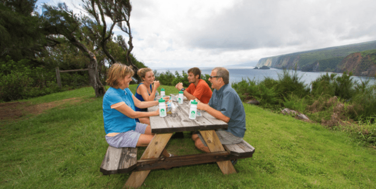 Kohala Picnic Spot & View