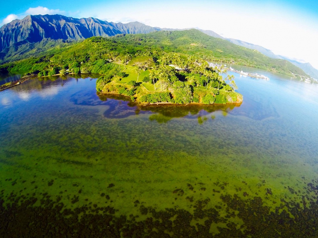 beautiful park aerial in kaneohe bay