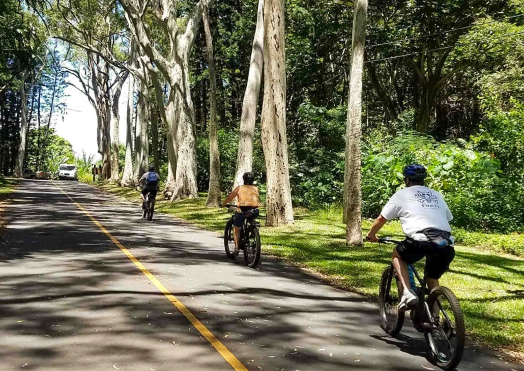 Bikehawaii Bike Downhill Tour Family Biking Together 