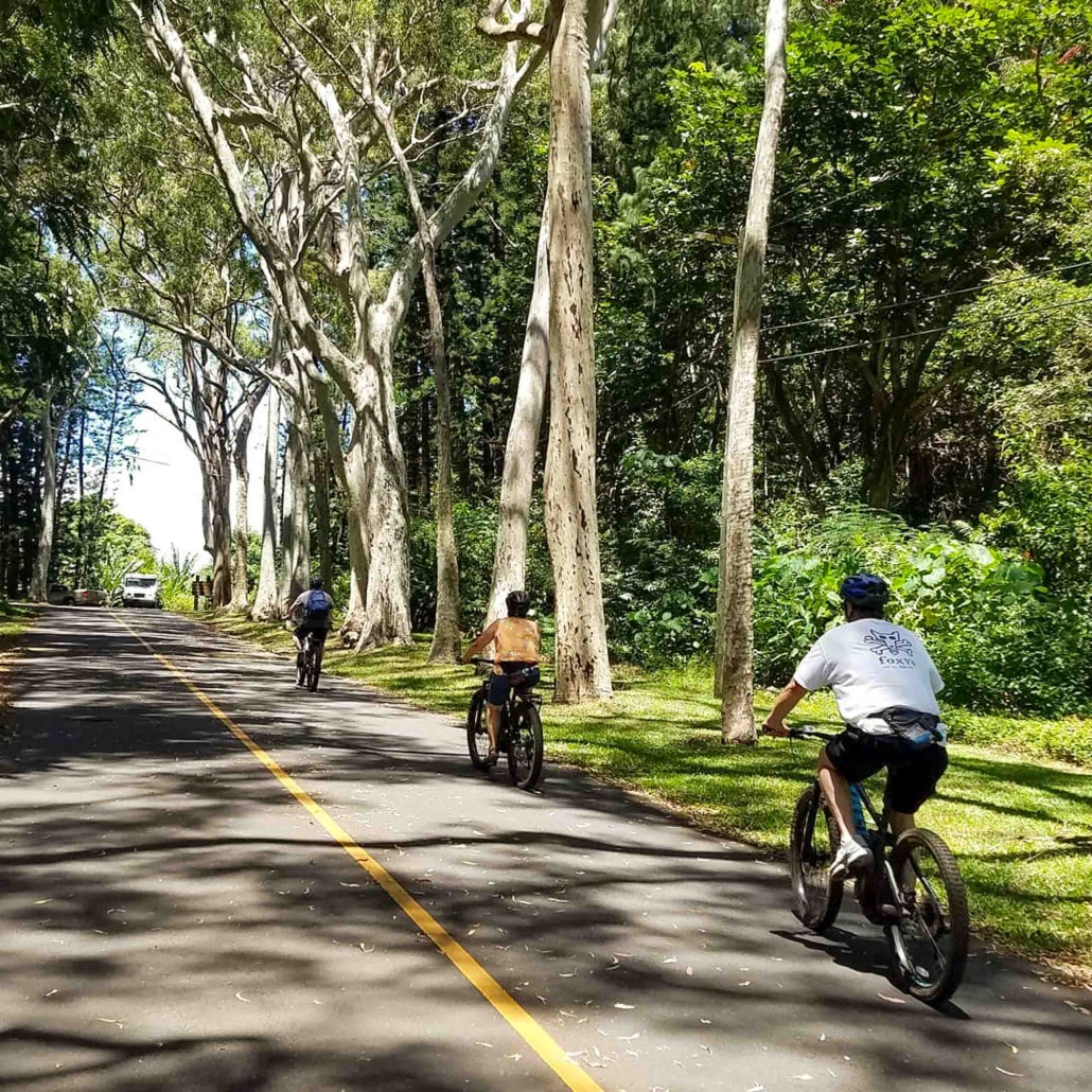 Bikehawaii Bike Downhill Tour Family Biking Together