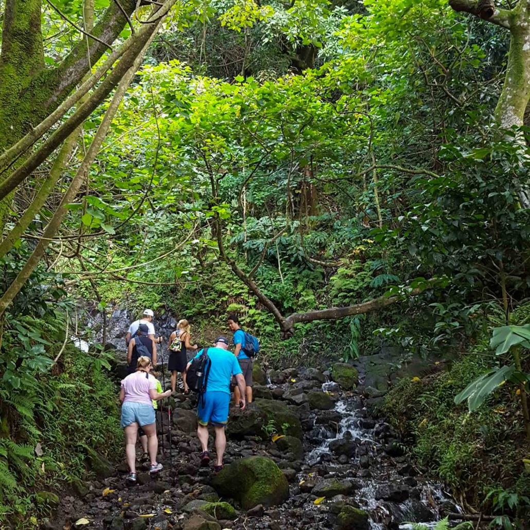 Bikehawaii Oahu Waterfall Hike And Bike Downhill Tour Slide