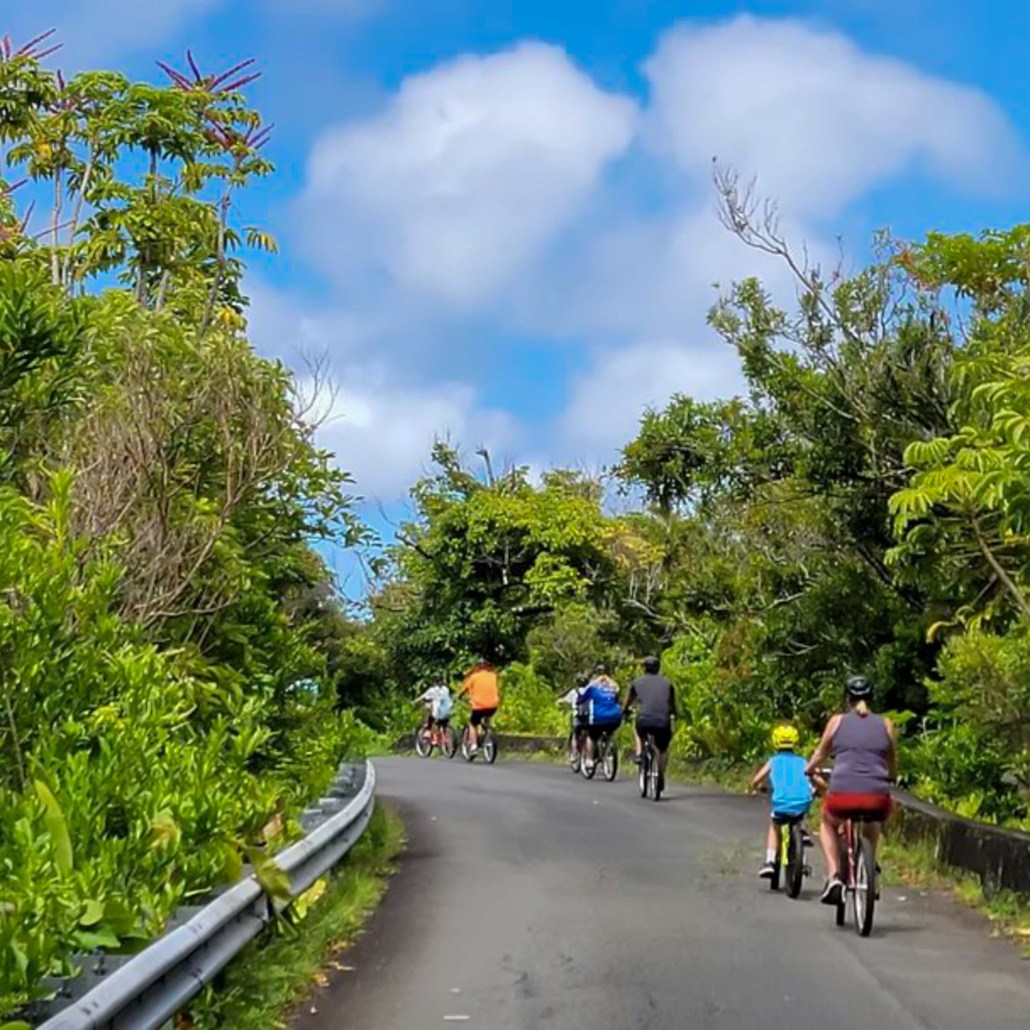 Bikehawaiitours Oahu Downhill Biking Adventure Family Biking