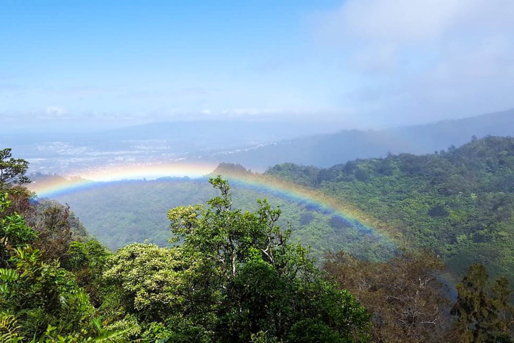 Bikehawaiitours Volcanic Rainforest Hike Forest Rainbow