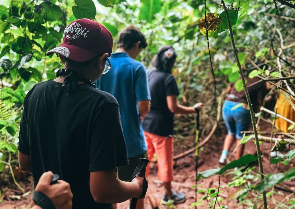 Bikehawaiitours Volcanic Rainforest Hike Hiking Group Hiking Slide