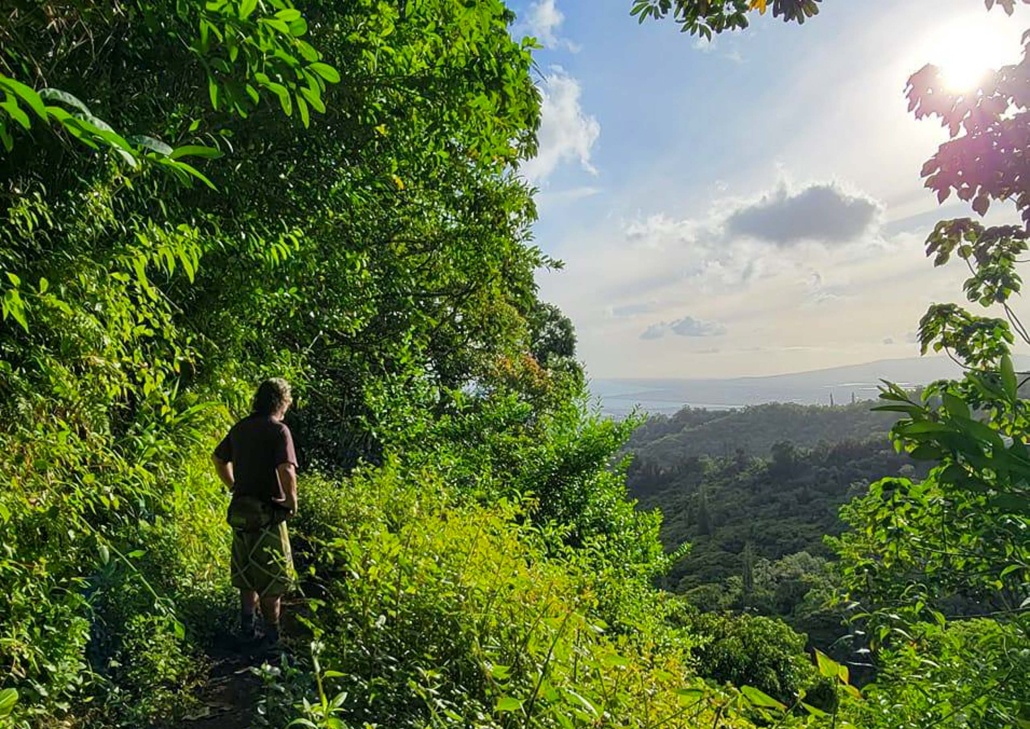 Bikehawaiitours Volcanic Rainforest Hike Hiking Overview Slide