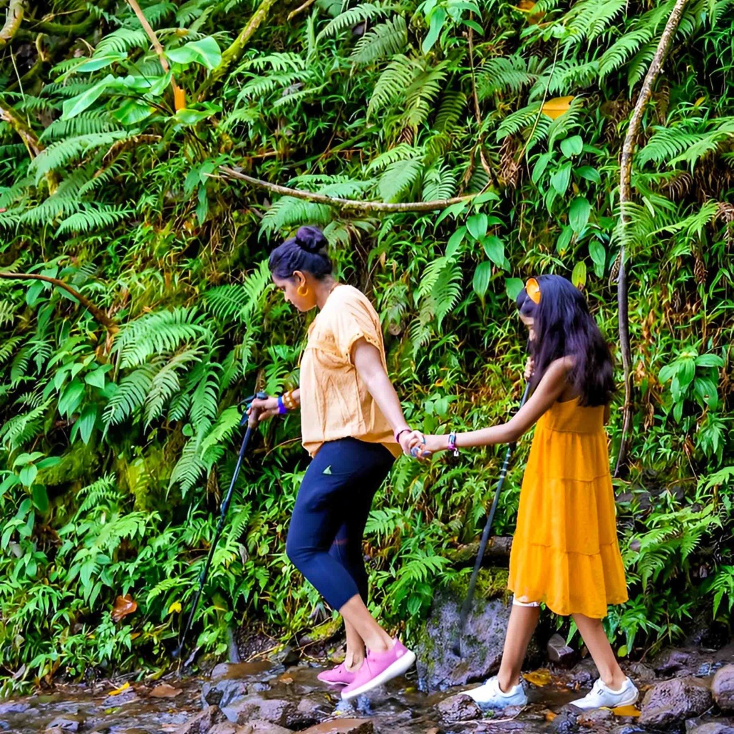Bikehawaiitours Volcanic Rainforest Hike Mother And Daughter Hking