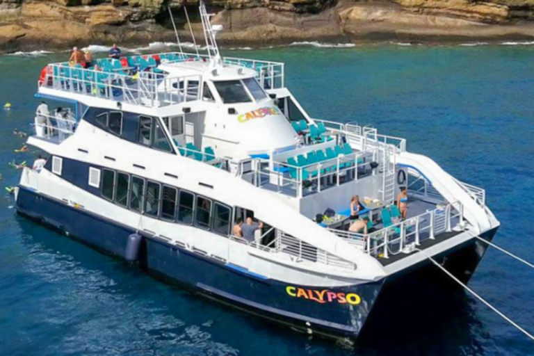 Calypsomaui Molokini And Turtle Reef Morning Snorkel SUNSET CATAMARAN DINNER CRUISE  