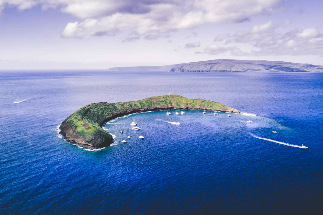 Calypsomaui Molokini And Turtle Reef Morning Snorkel Overview