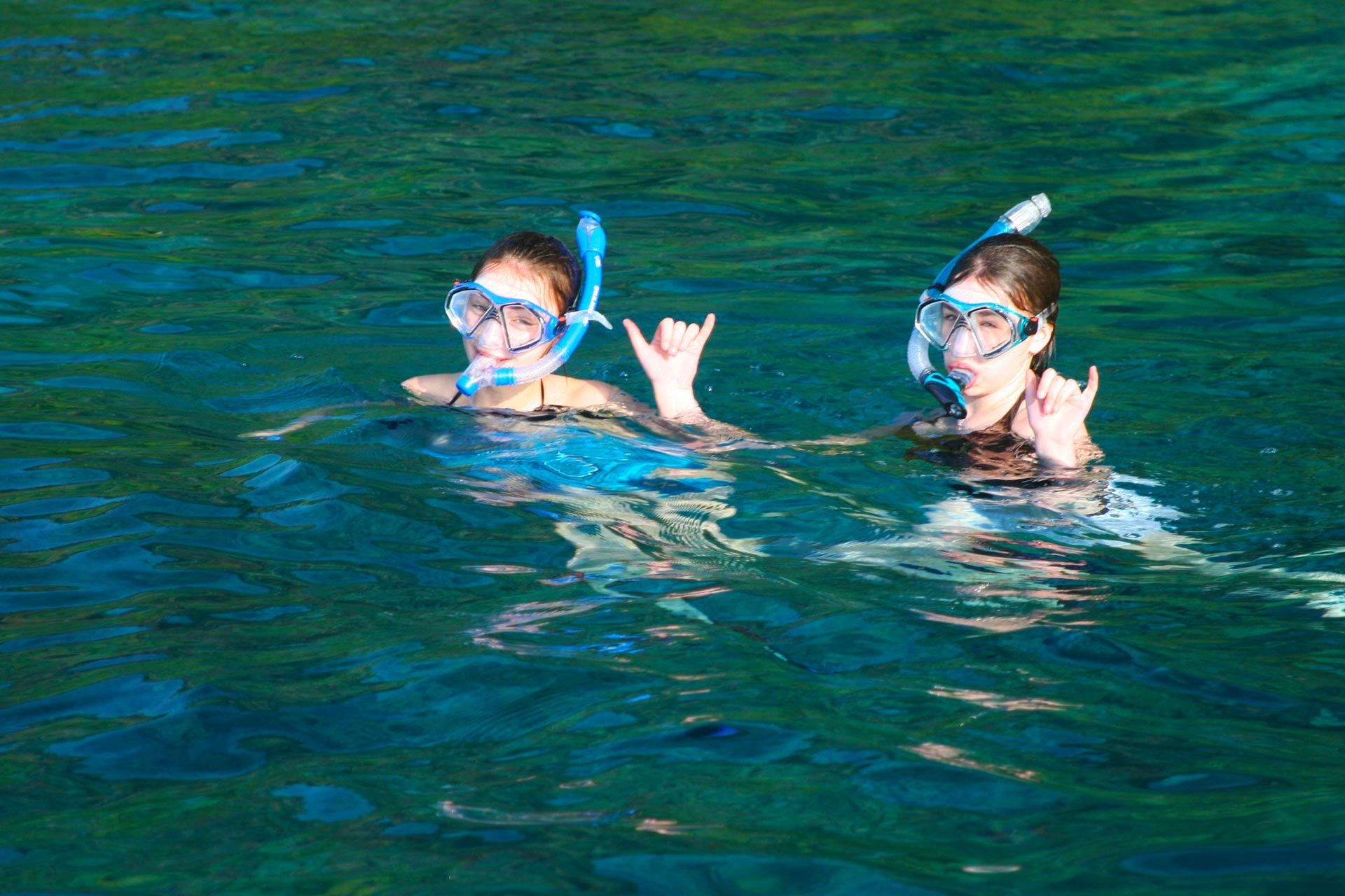 captain cook pm snorkel adventure dolphin discoveries big island