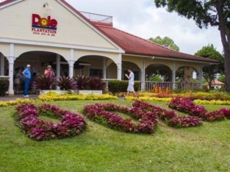 Dole Plantation Oahu Hawaii