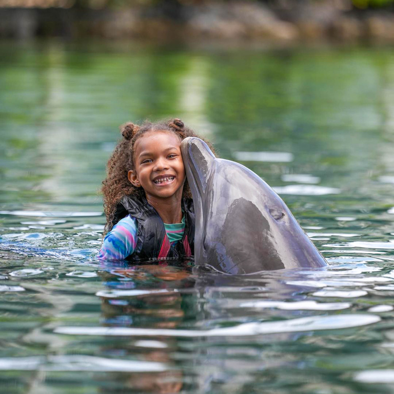 Dolphin Quest Waikoloa Dolphin Encounter Playing