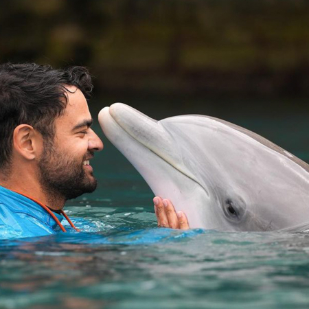 Dolphin Quest Waikoloa Dolphin Encounter Product