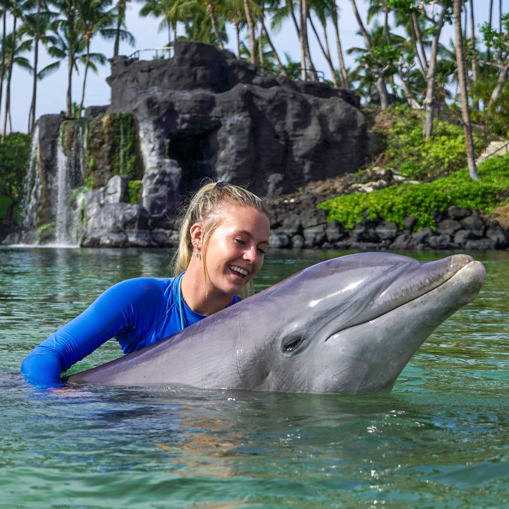 Dolphin Quest Waikoloa Dolphin Encounter Staff Perform With Dolphin