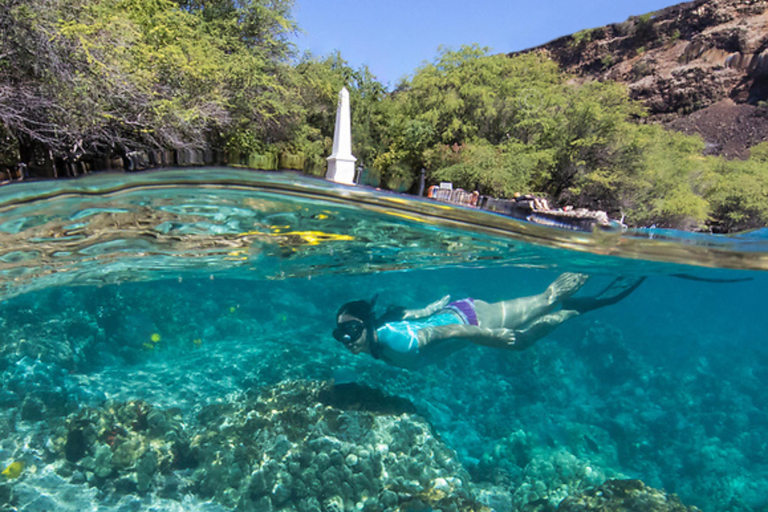 Dolphindiscoveries Captain Cook Pm Snorkel Adventure Feature Snorkel Kealakekua Bay