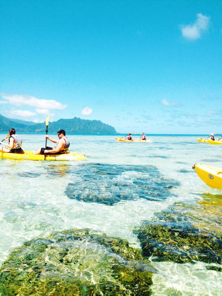 experience the pristine waters reefs and diverse sea life holokai adventures