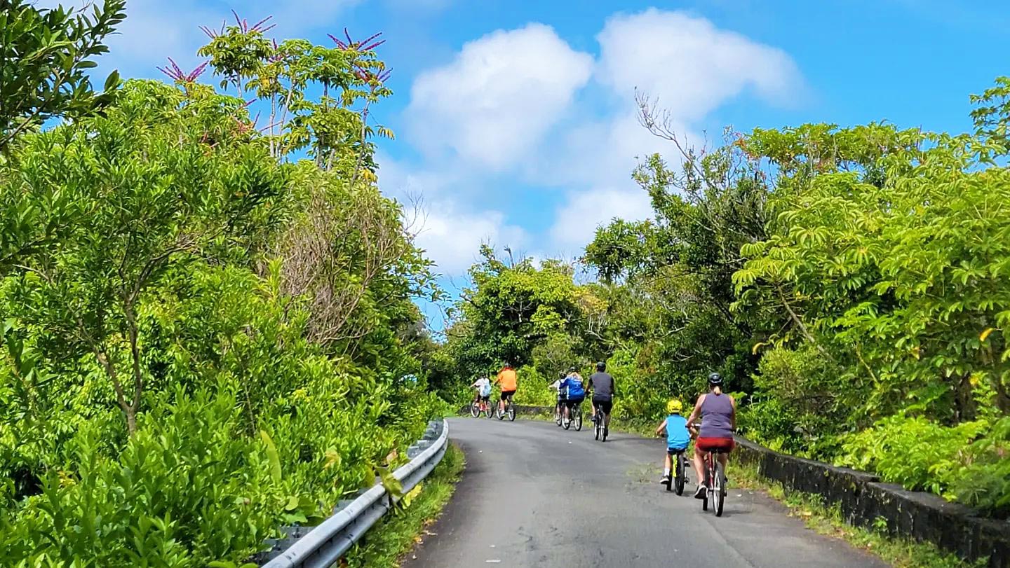 great views of oahu and rainforest bike hawaii oahu island