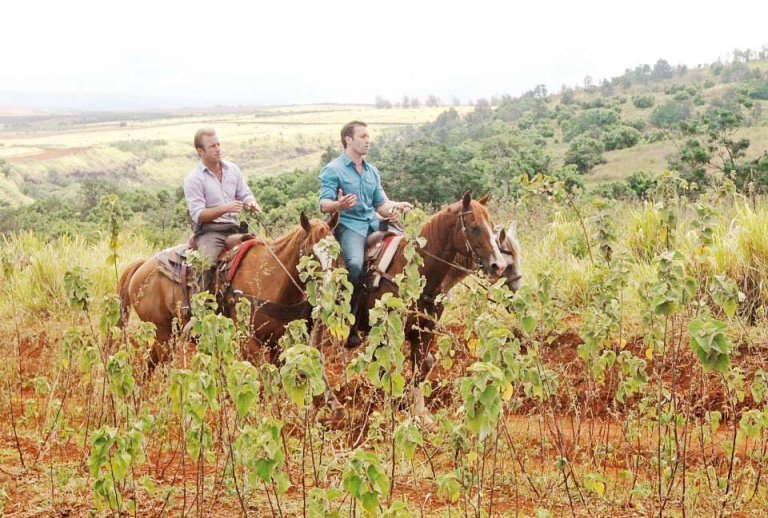 hawaii  horseback oahu hawaii