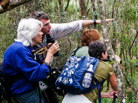 Hawaii Forest Rainforest And Dryforest Bird Watching Tour Bird Slides