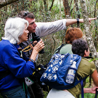 Hawaii Forest Rainforest And Dryforest Bird Watching Tour Bird Slides