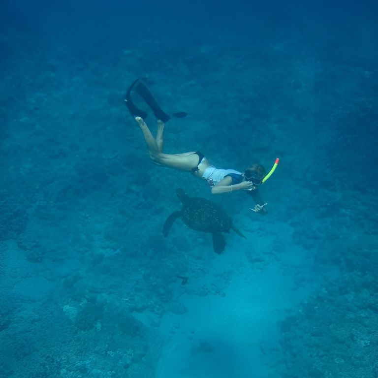 Hawaiinautical Turtle Guaranteed Snorkel Sail Girl Swimming With Turtle