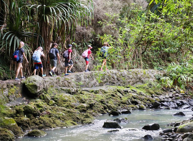 hike maui kayak snorkel waterfall hike combo short hike in forest